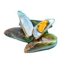 Joint & Connective Tissue Support for Dogs and Horses | BioStar US