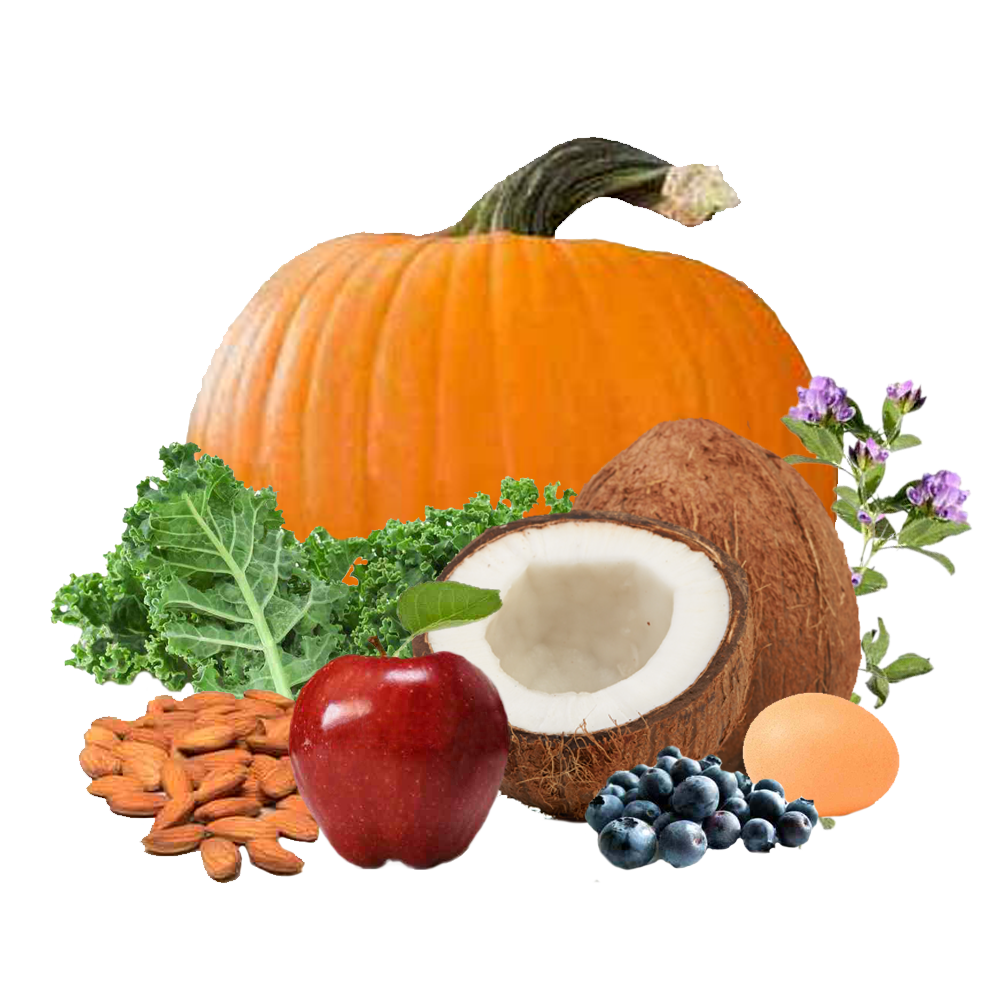 Whole Food Multivitamin & Mineral Supplements | BioStar US