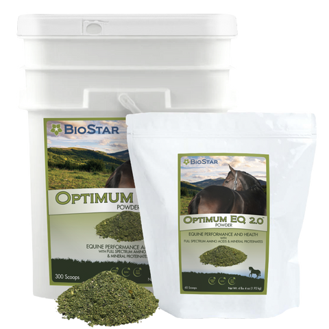 Optimum 2.0 Equine Wellness formula | BioStar US
