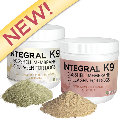 Integral K9 Eggshell Membrane Collagen supplements for dogs | BioStar US