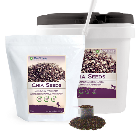 Omega-3 Rich Chia Seeds from BioStar US