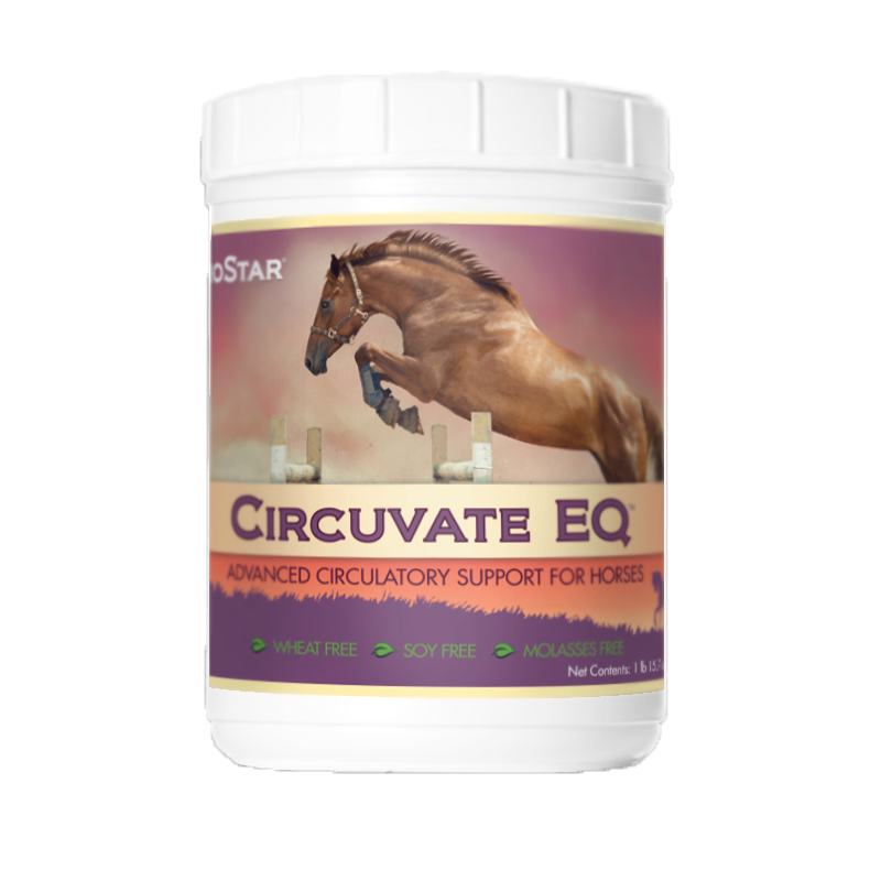 Circuvate EQ by BioStar US, an advanced formula for equine circulation support