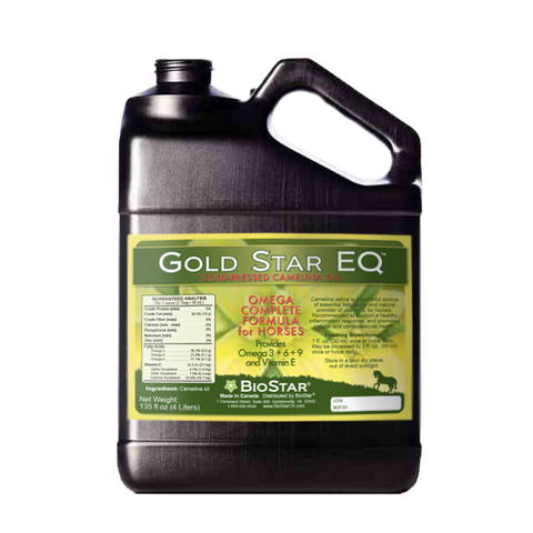 Gold Star EQ Cold-Pressed Camelina Oil for Horses | BioStar US
