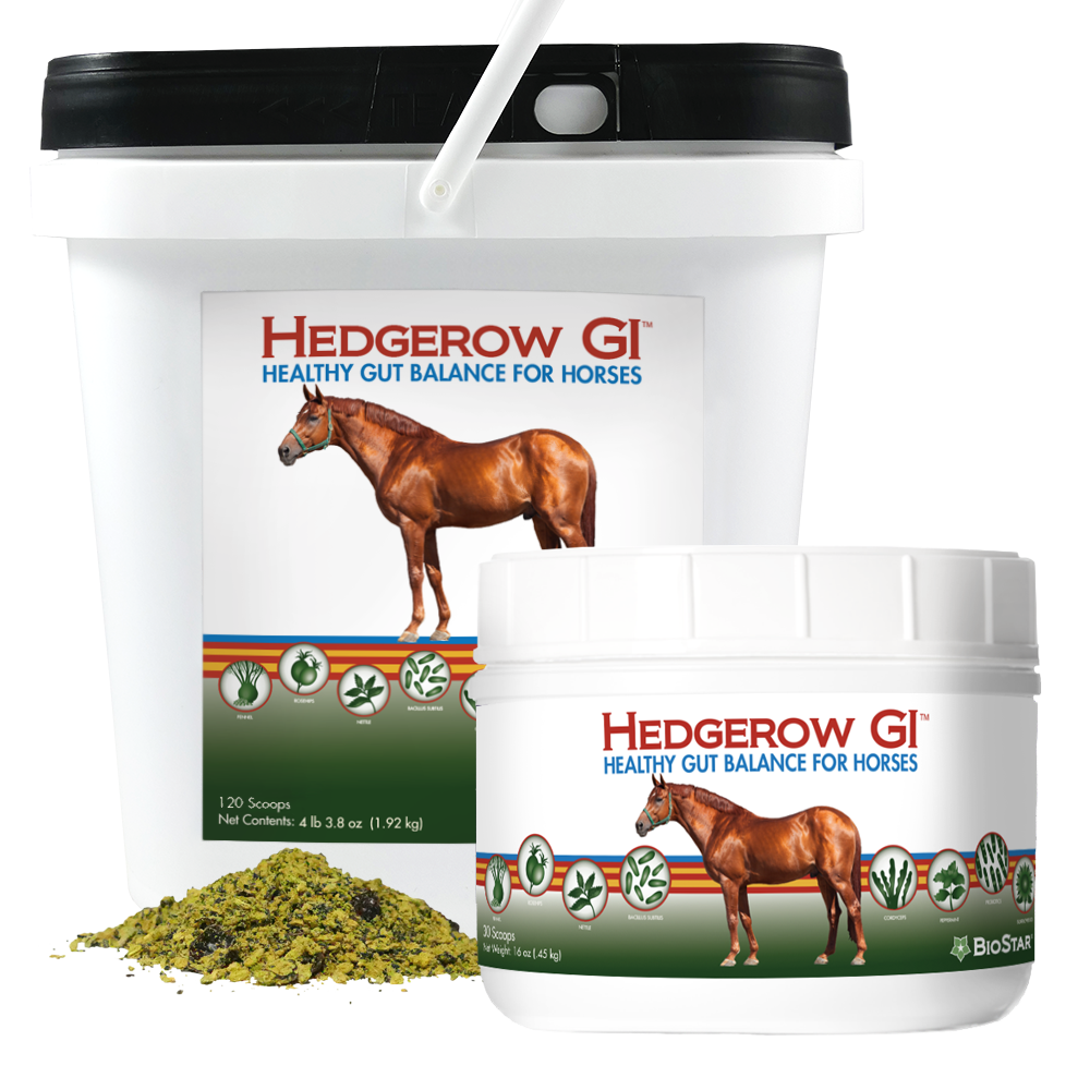 Horse Show Tri State Horse And Mule Sale 219 Tri State Horse And