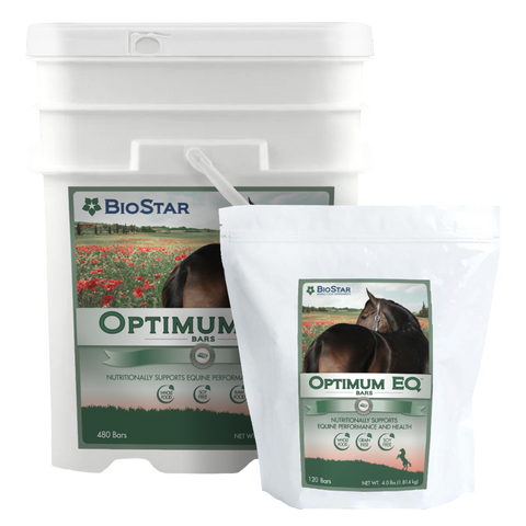 Optimum EQ Multivitamin & Mineral Supplement for Horses | BioStar US