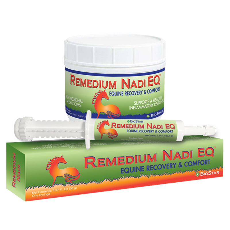 Remedium Nadi Recovery & Comfort Syringe Paste | BioStar US