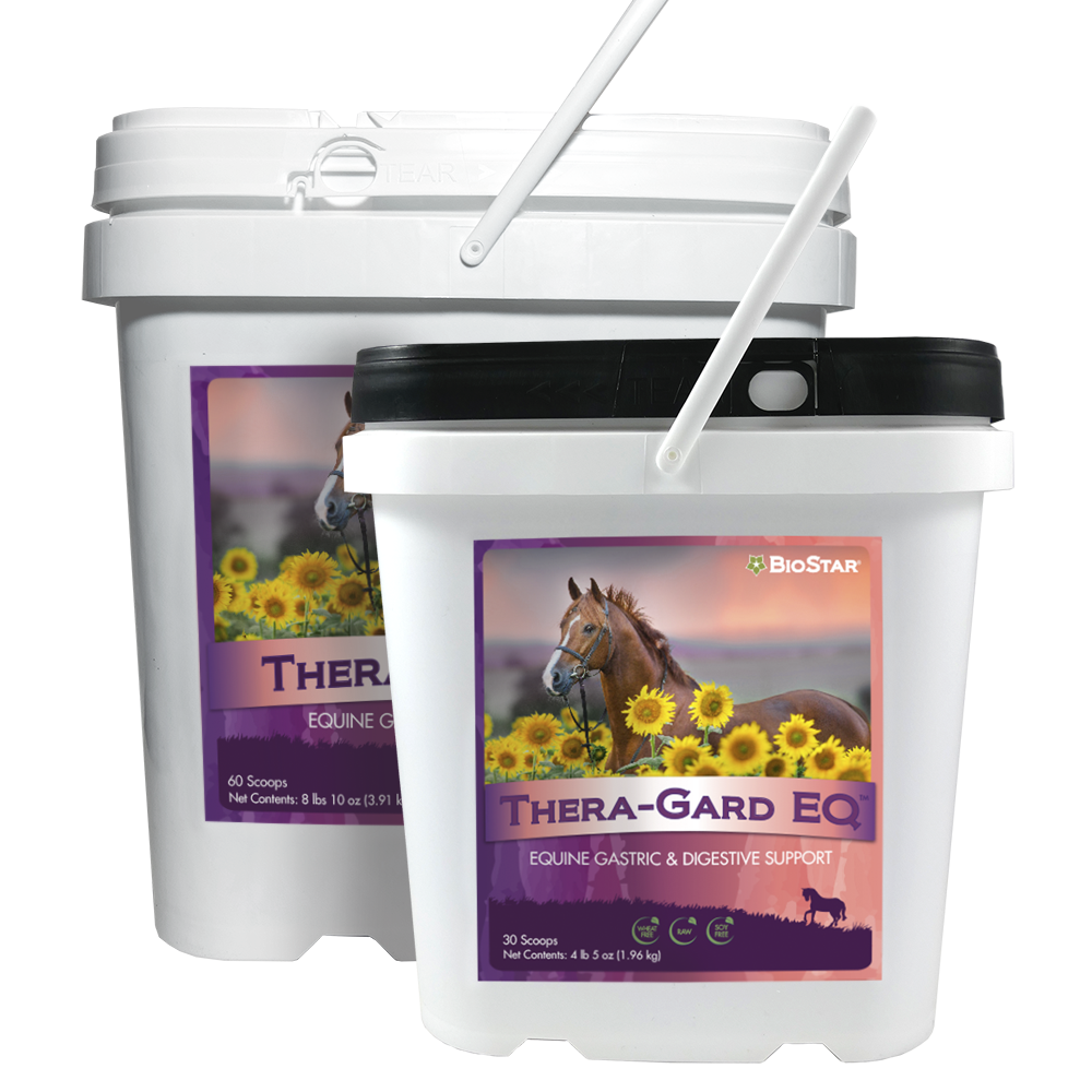 Thera-Gard EQ Gastric & Digestive Support for Horses | BioStar US