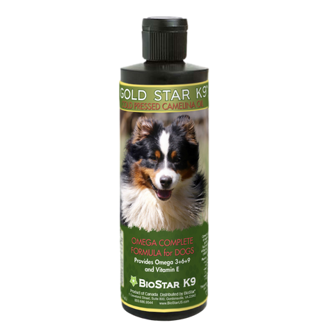 Gold Star K9 - cold pressed camelina oil for dogs, from BioStar US