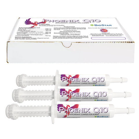 Phoenix Q10