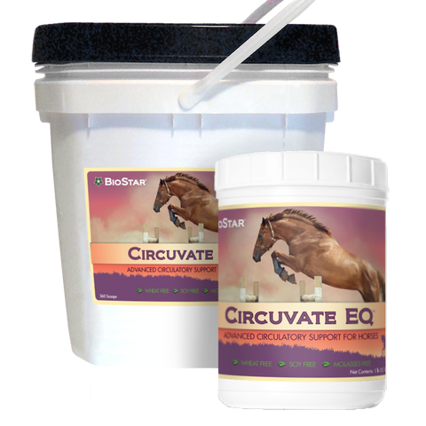 Circuvate EQ