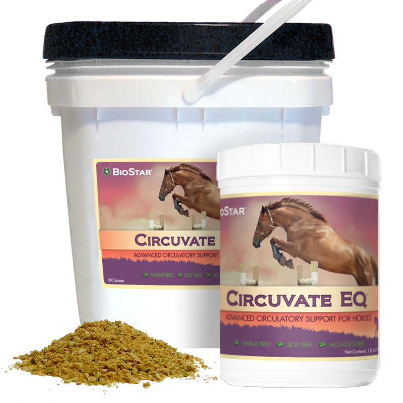 Circuvate EQ by BioStar US, an advanced formula for equine circulation support