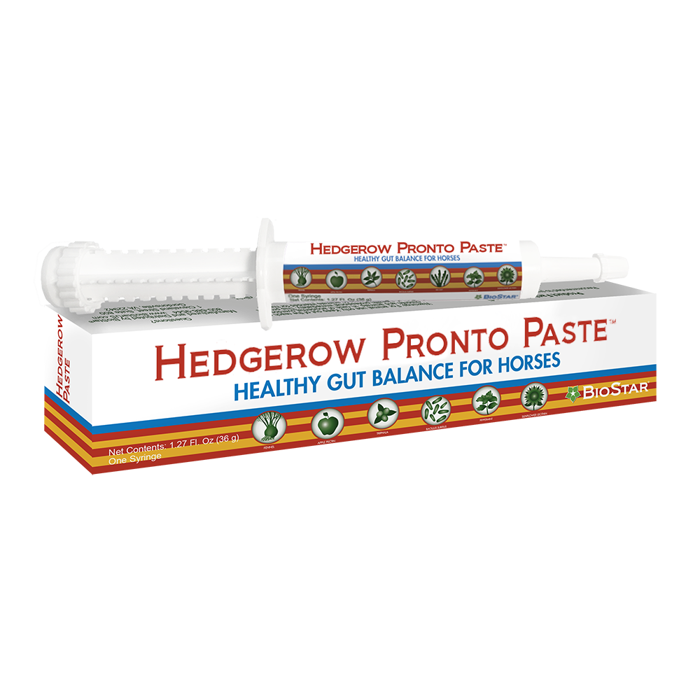 Hedgerow Pronto