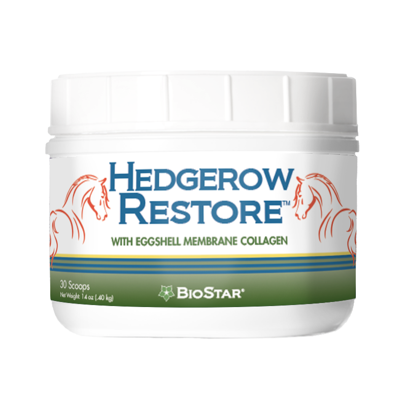 Hedgerow Restore for equine gut support | BioStar US