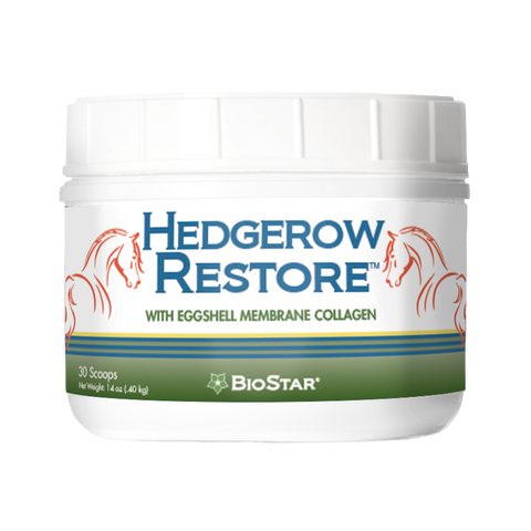Hedgerow Restore