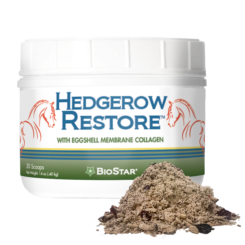 Hedgerow Restore with eggshell membrane collagen - gut health and recovery for horses by BioStar US.