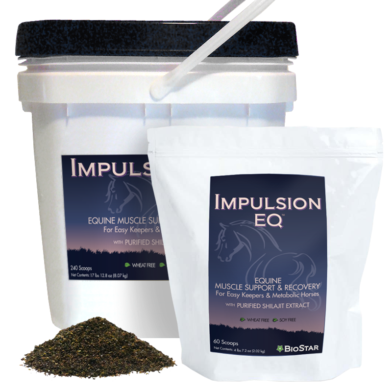 Impulsion EQ: Support for Metabolic Horses & Easy Keepers | BioStar US