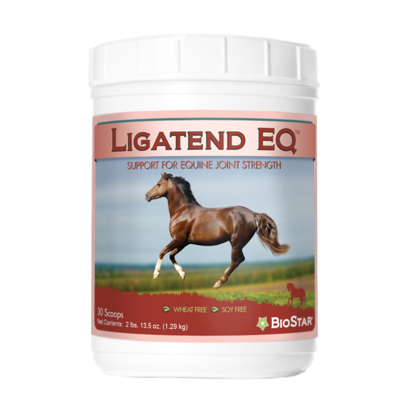Ligatend EQ support for equine joints and connective tissue | BioStar US