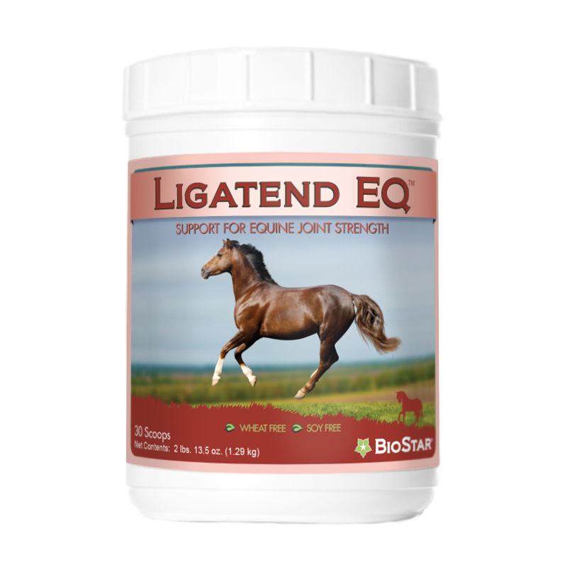 Ligatend EQ