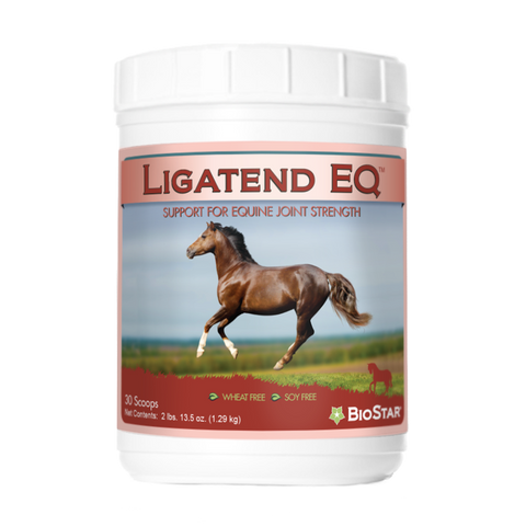 Ligatend EQ