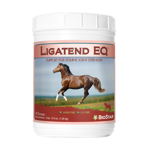 Ligatend EQ support for equine joints and connective tissue | BioStar US