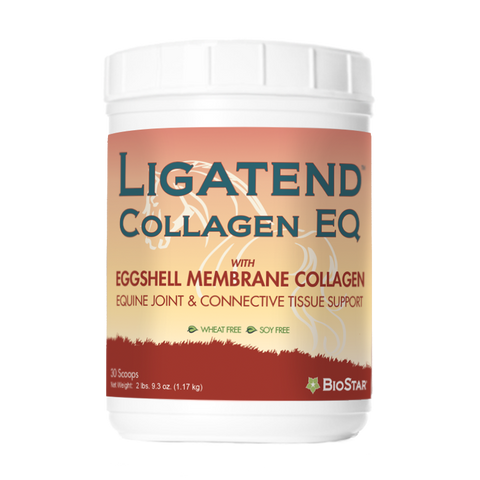 Ligatend Collagen EQ