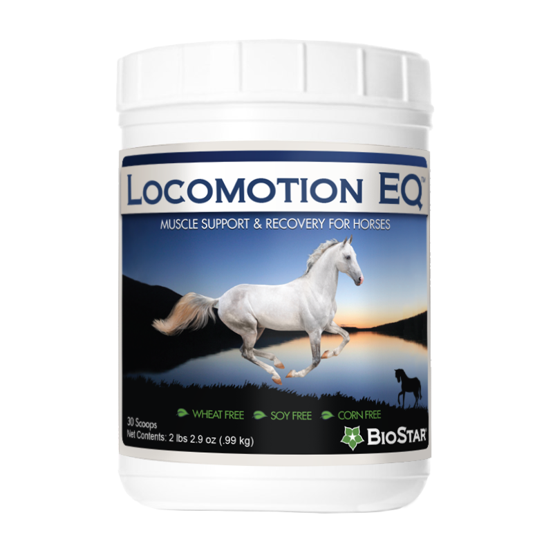 Locomotion EQ