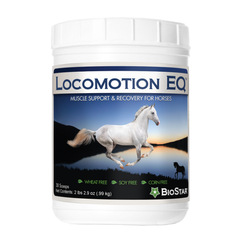 Locomotion EQ