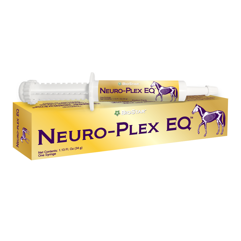 Neuro-Plex EQ syringe neuromuscular support for horses | BioStar US