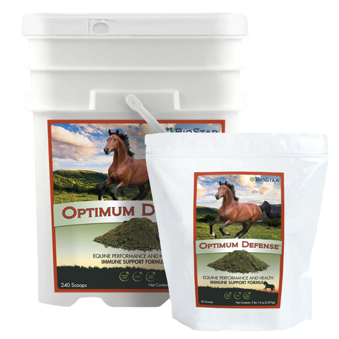 Optimum Defense Equine Immune support and wellness formula | BioStar US