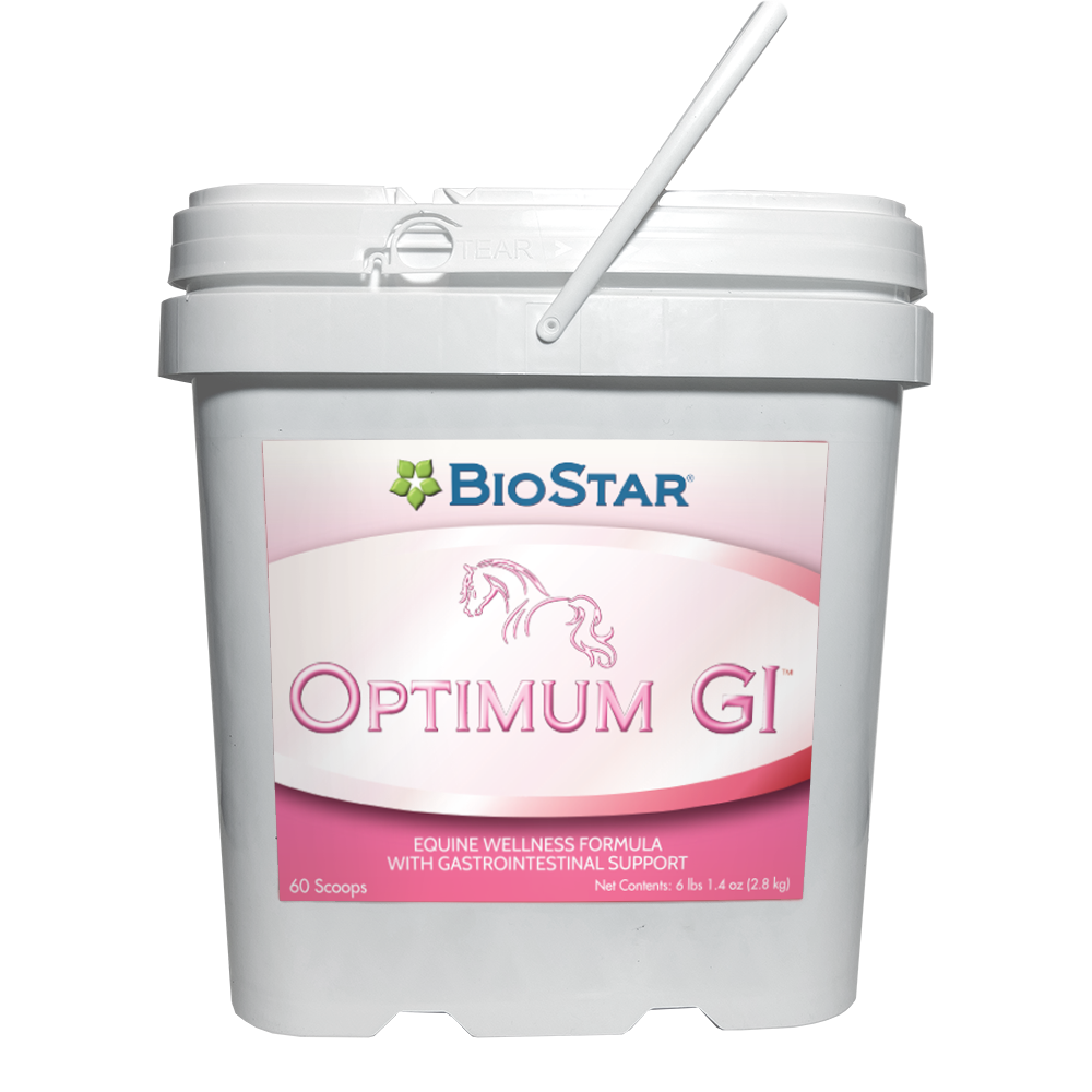 Optimum GI Multivitamin and Mineral with GI Support | BioStar US