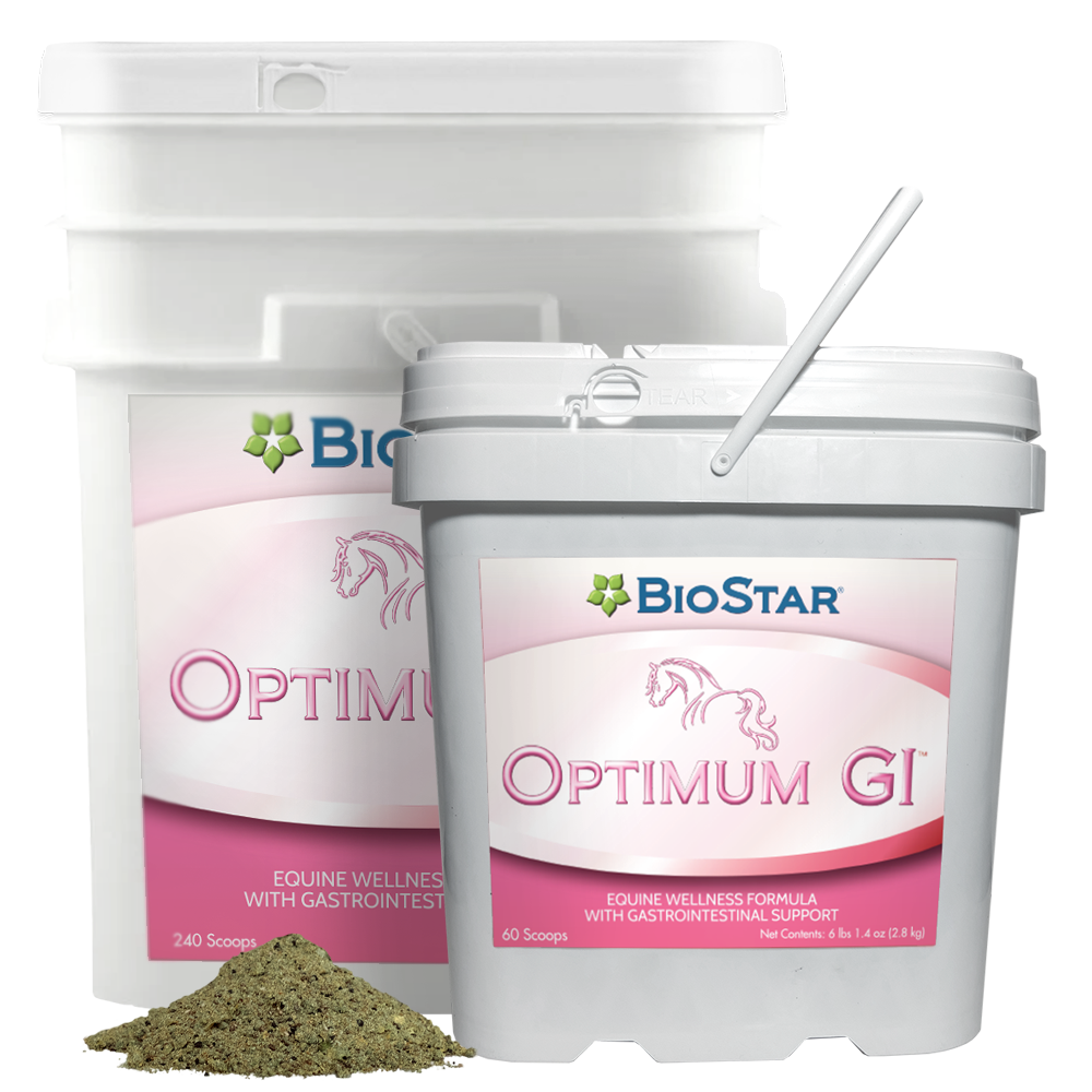Optimum GI Multivitamin and Mineral with GI Support | BioStar US