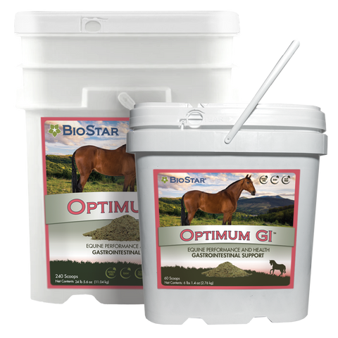 Optimum GI Multivitamin and Mineral with GI Support | BioStar US