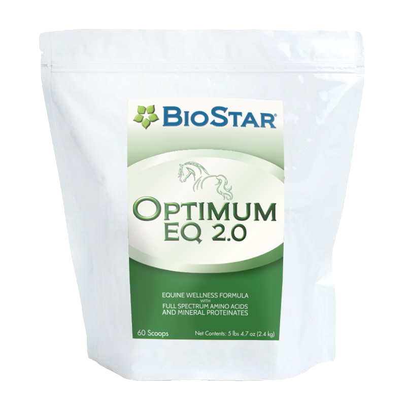 Optimum EQ 2.0