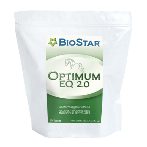 Optimum EQ 2.0