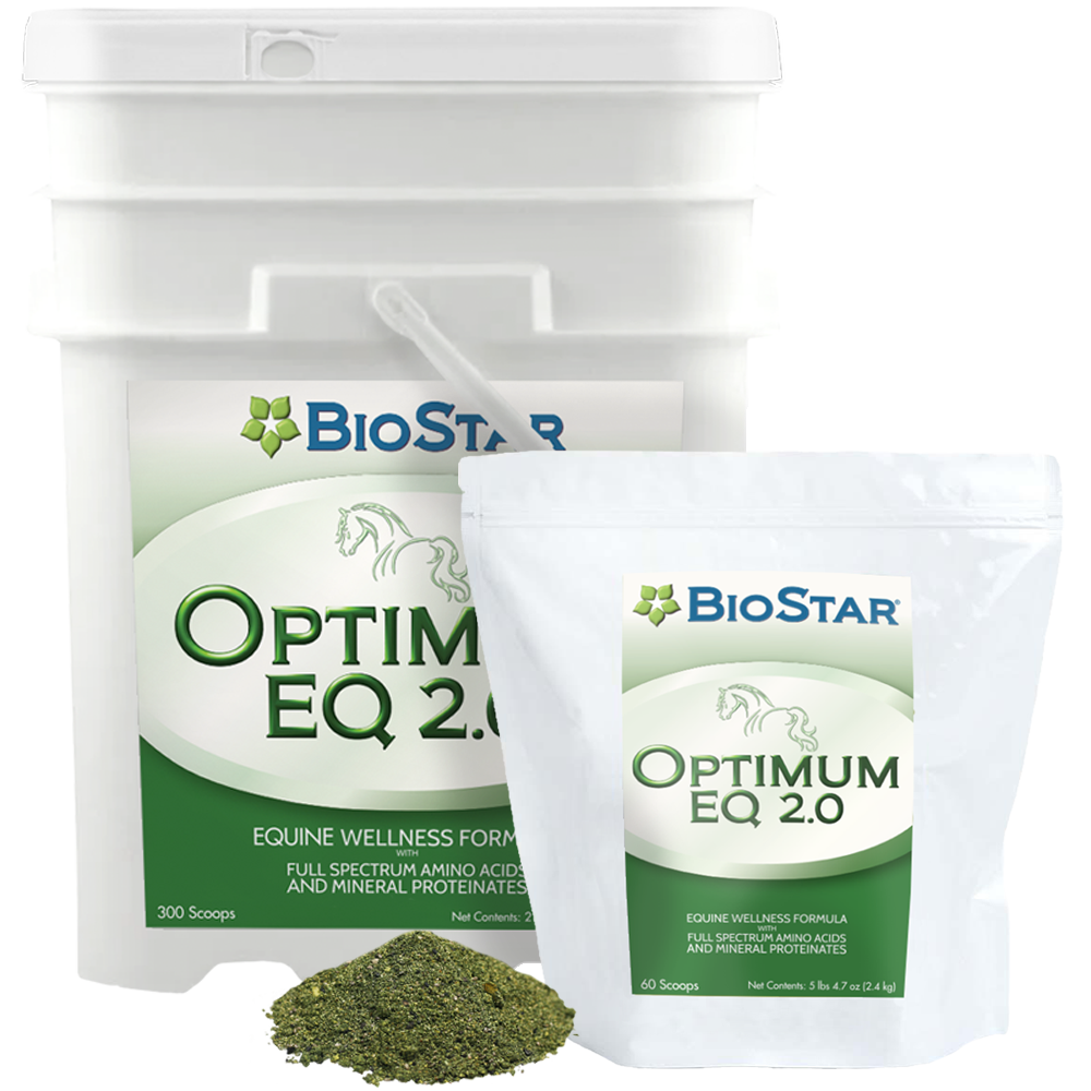 Optimum 2.0 Equine Wellness formula | BioStar US
