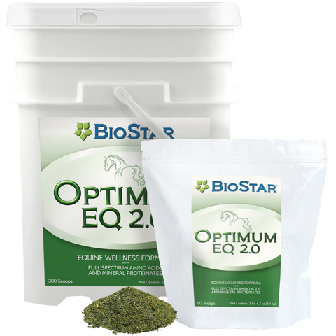 Optimum EQ 2.0