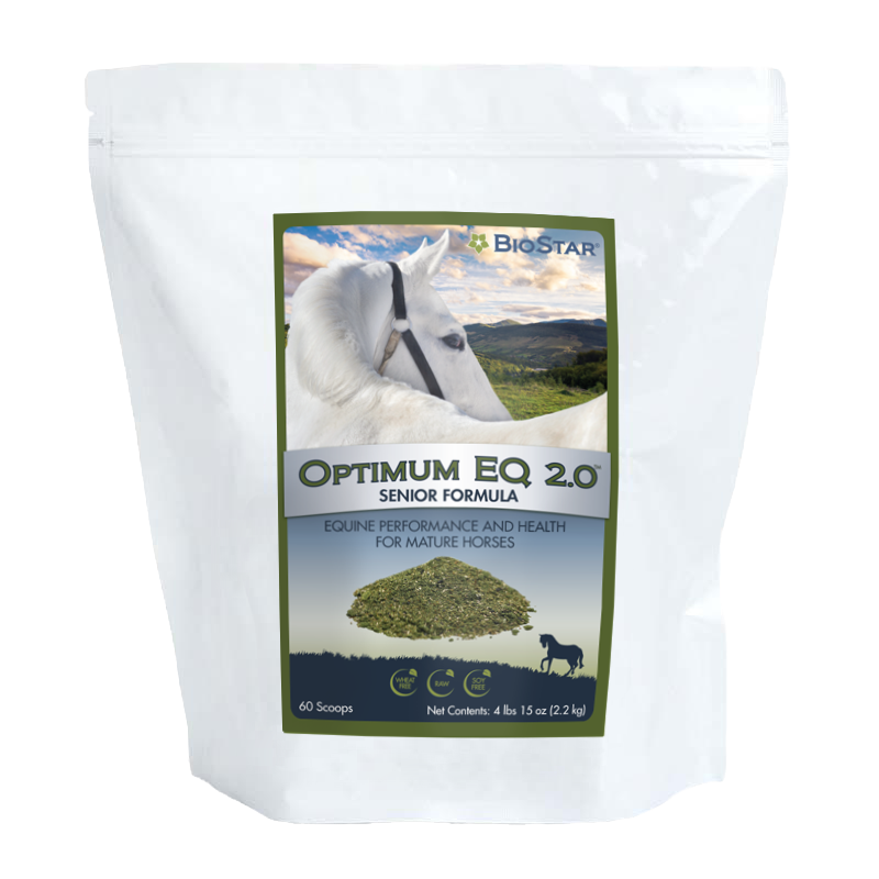 Optimum EQ Senior Multivitamin & Mineral Supplement for Older Horses | BioStar US