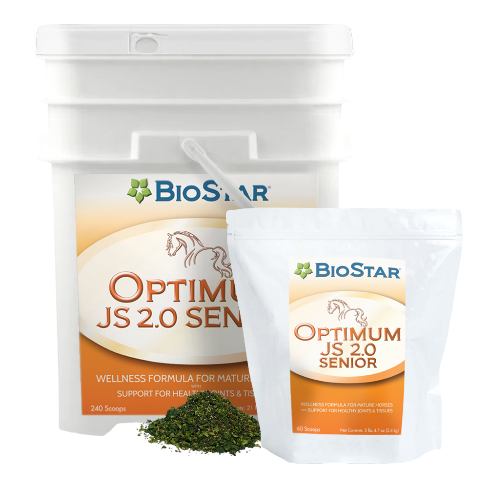 Optimum Senior JS 2.0 for joint support | BioStar US