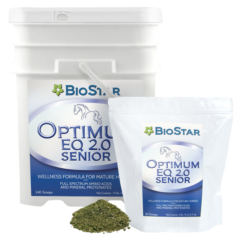 Optimum EQ Senior Multivitamin & Mineral Supplement for Older Horses | BioStar US