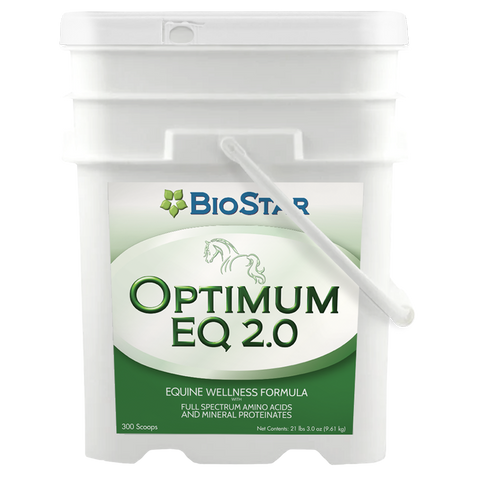 Optimum EQ 2.0