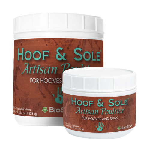 Hoof & Sole Artisan Poultice