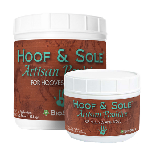 Hoof & Sole Artisan Poultice from BioStar US