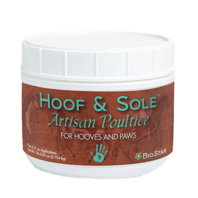 Hoof & Sole Artisan Poultice from BioStar US