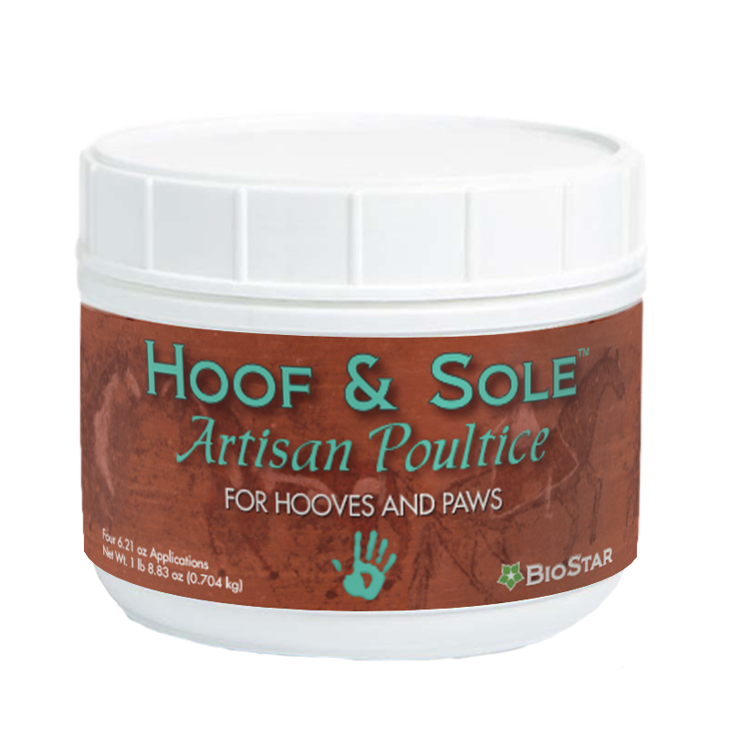 Hoof & Sole Artisan Poultice