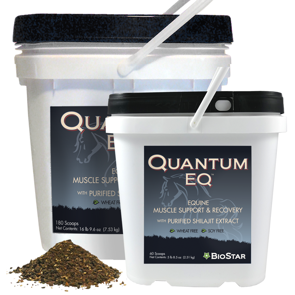 Quantum EQ - Bulk 180 scoops - by BioStar US