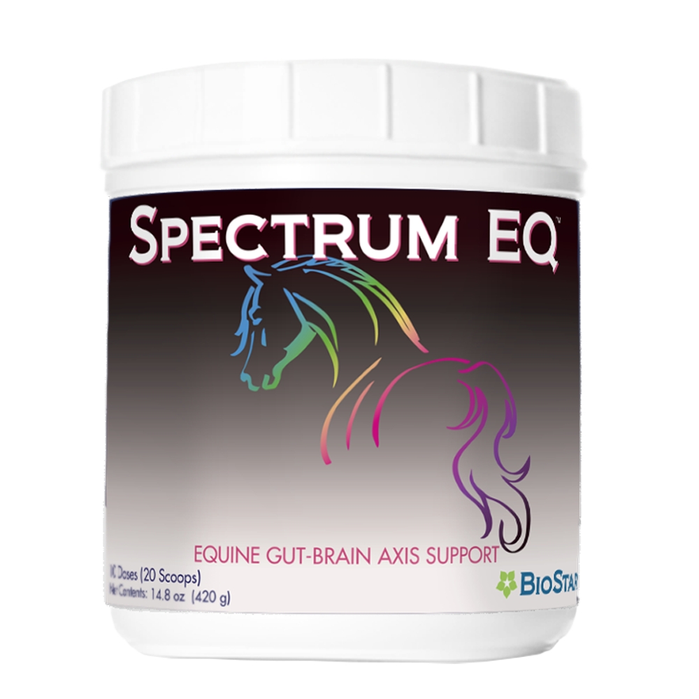Spectrum EQ