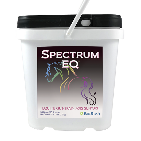 Spectrum EQ
