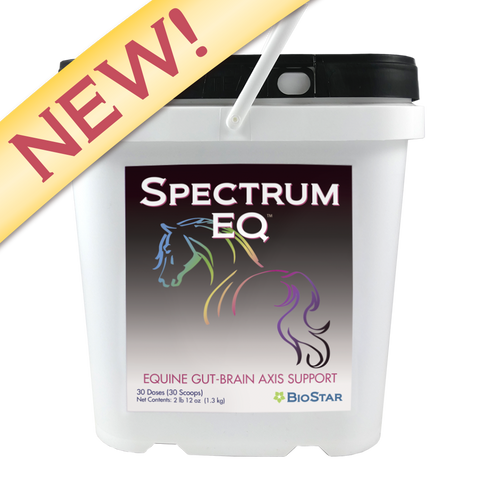 Spectrum EQ