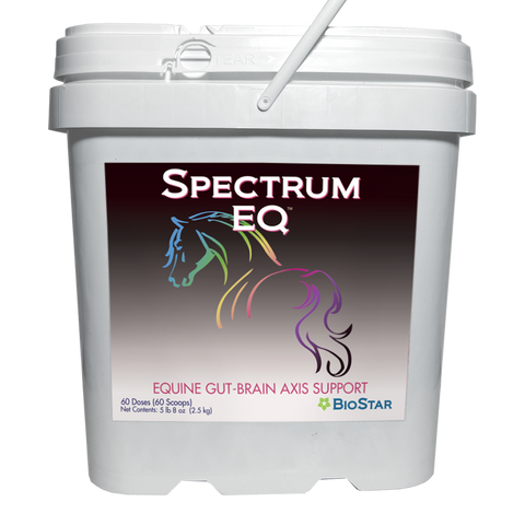 Spectrum EQ