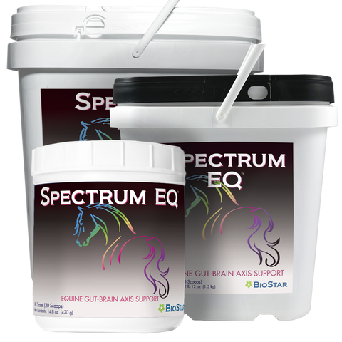 Spectrum EQ